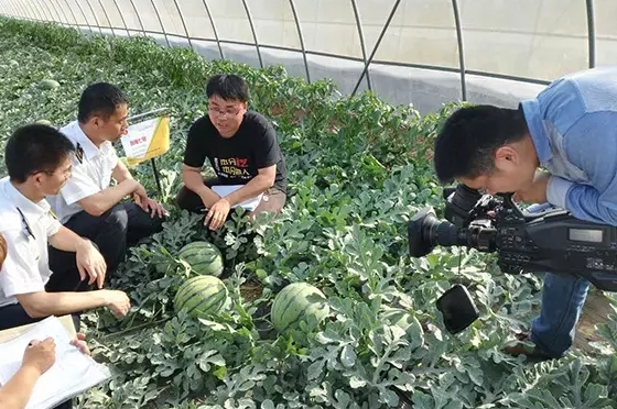 寒流無情，農(nóng)大和豫藝有愛